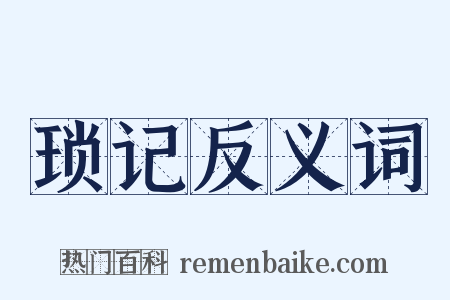 琐记反义词是什么意思的图片